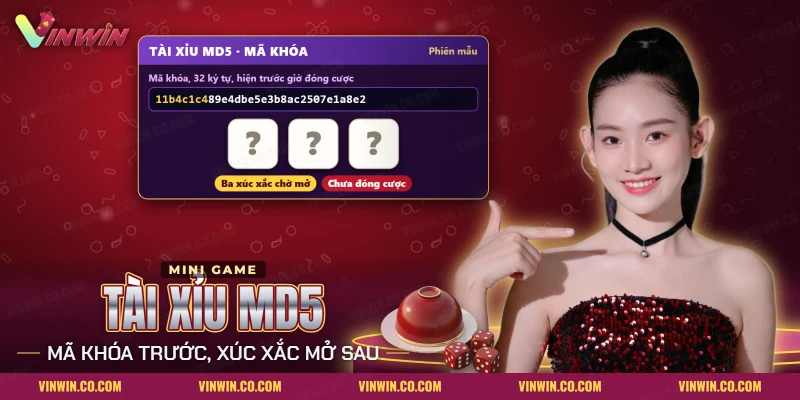 Tài xỉu MD5 Vinwin với mã khóa hiện trước và ba xúc xắc chờ mở